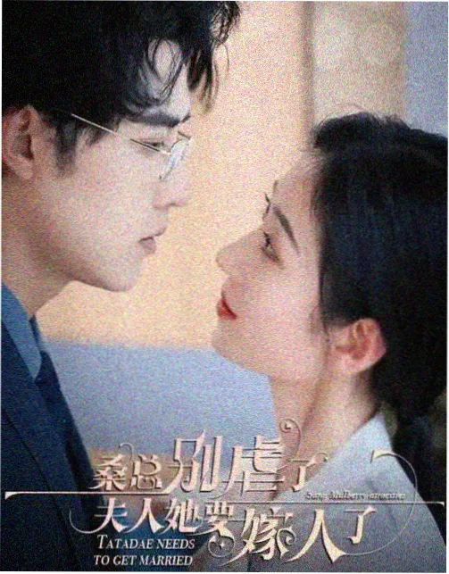 热门连载剧集资源